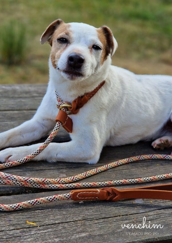 Retriever vodítko Venchim Retriever vodítko Venchim