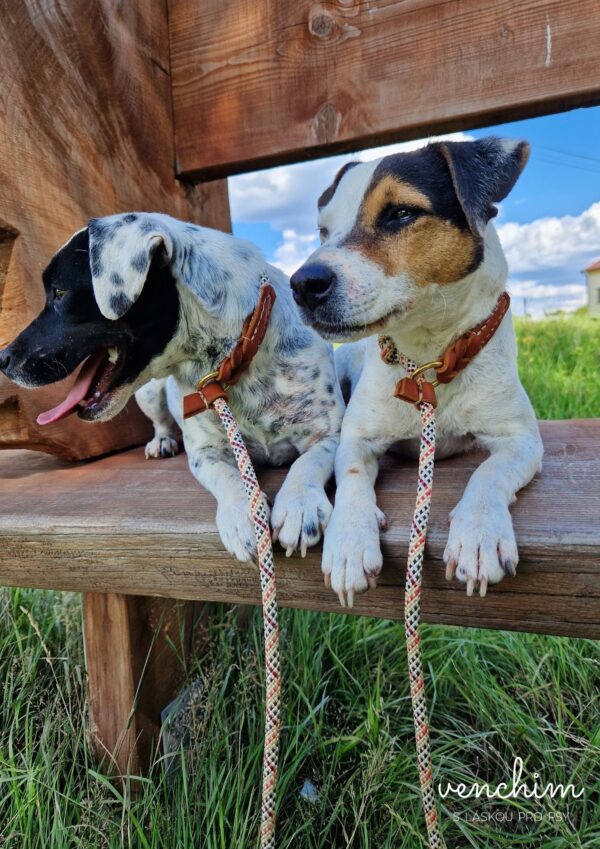 Retriever vodítko Venchim Retriever vodítko Venchim