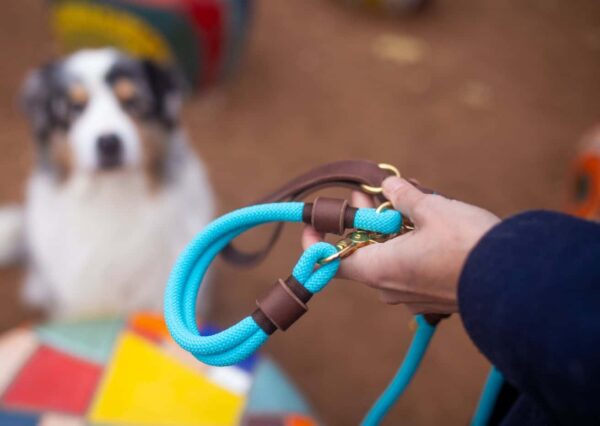 Krátké vodítko + obojek Venchim Krátké vodítko + obojek Venchim