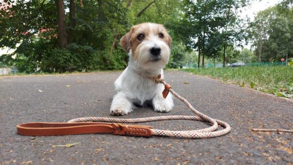 Zákazníci Venchim Zákazníci Venchim