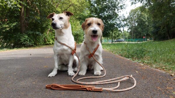 Zákazníci Venchim Zákazníci Venchim