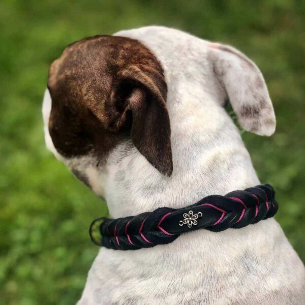 Kožený obojek proplétaný - Venchim ukázka Kožený obojek proplétaný - Venchim ukázka