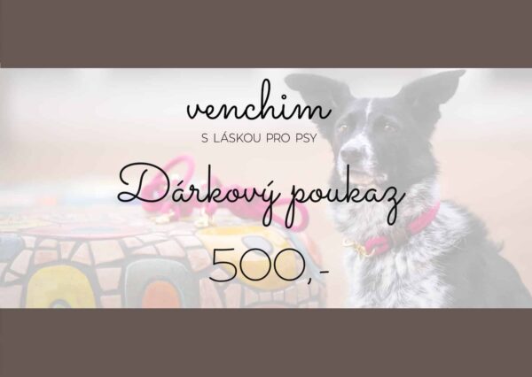 Dárkový poukaz Dárkový poukaz v hodnotě 500Kč