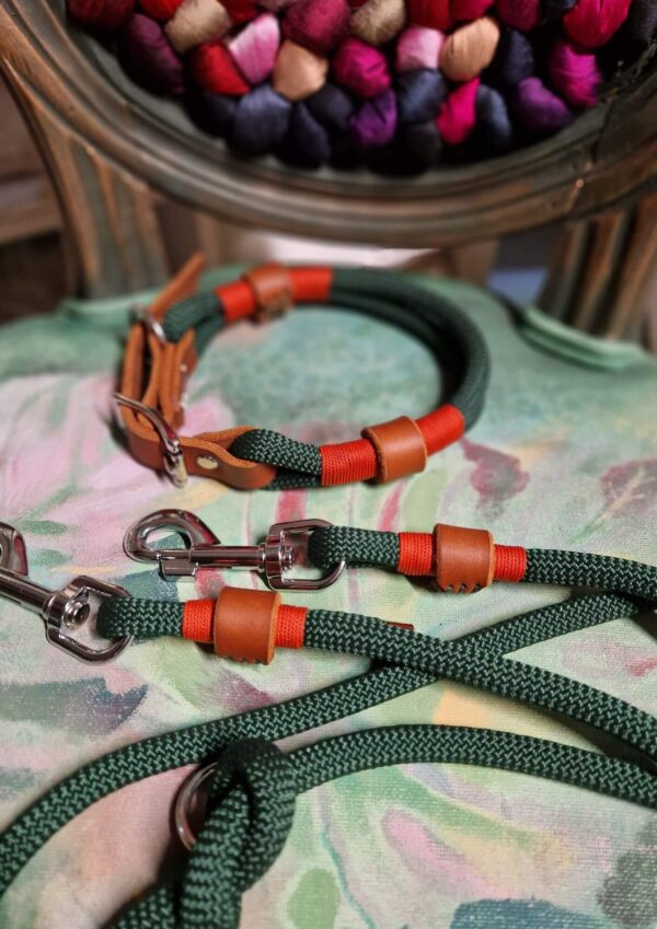 Workshop výroby obojků Workshop výroby obojků. Lanový obojek a přepínací vodítko Jsem Klasik