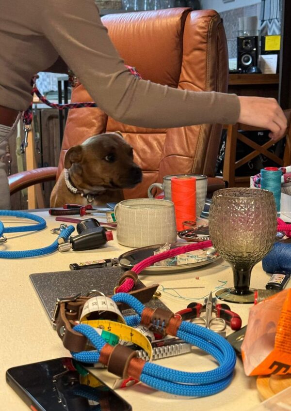 Workshop výroby obojků Workshop výroby obojků. Z procesu