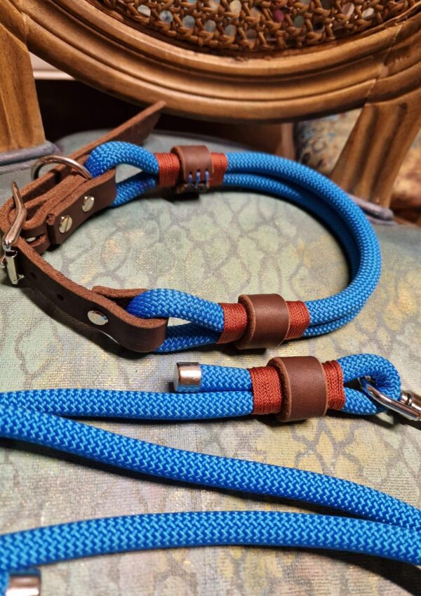 Workshop výroby obojků Workshop výroby obojků. Lanový obojek a přepínací vodítko Jsem Klasik