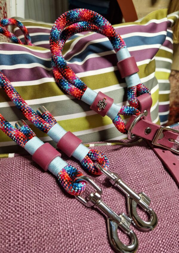 Workshop výroby obojků Workshop výroby obojků. Lanový obojek a přepínací vodítko Jsem Klasik