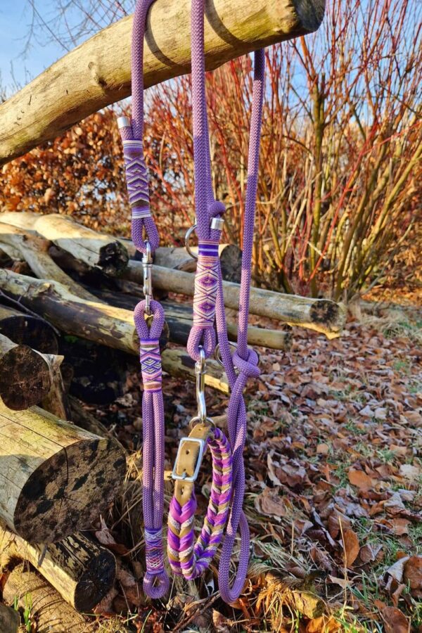 Obojek a vodítko pro psa Obojek a vodítko pro psa, model Mauve Melody