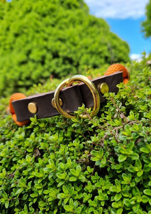 Kožené zapínání Detail polostahovacího koženého zapínání lanového obojku, model Foxy Fairytail