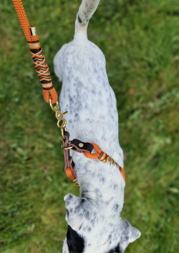 Set obojku a přepínacího vodítka Lanový obojek a přepínací vodítko v oranžové barvě z kolekce Jsem Hogofogo, model Foxy Fairytail