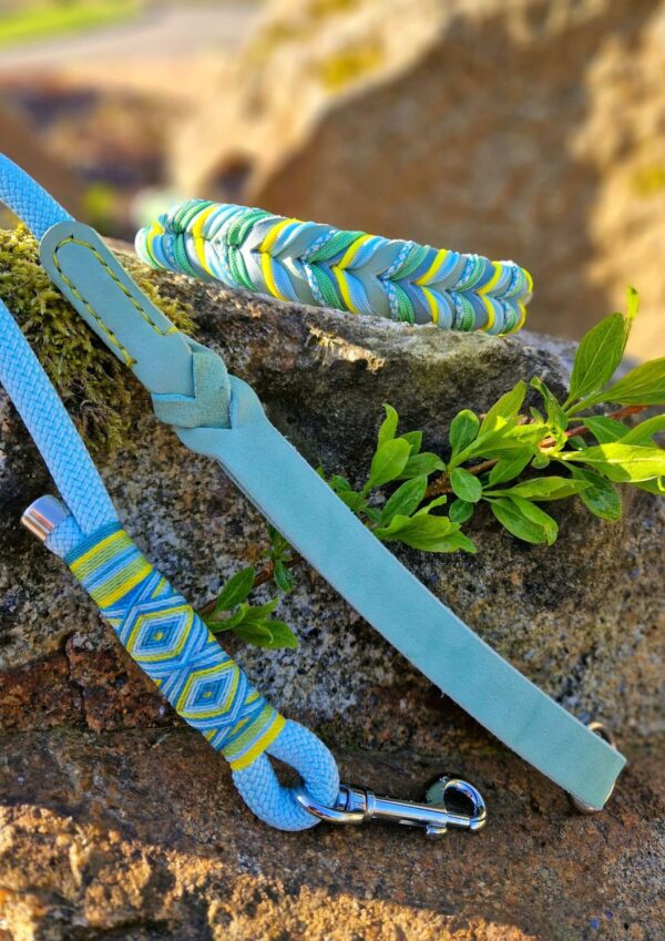 Set obojku a krátkého vodítka Kožený proplétaný obojek s krátkým vodítkem s koženou ručkou ve svěžích jarních barvách. Model Spring vibes