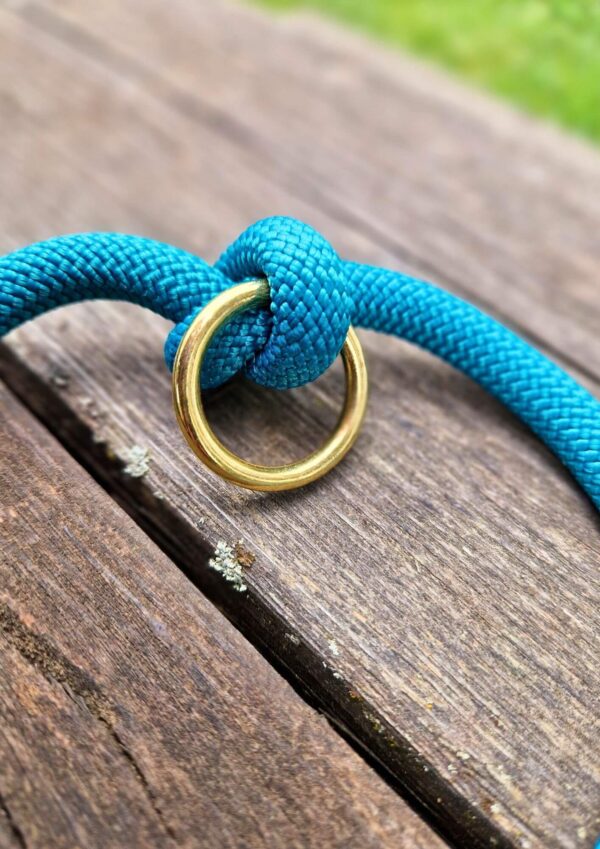 Přepínací vodítko Detail uchycení kroužku u přepínacího vodítka, model Dragon scale