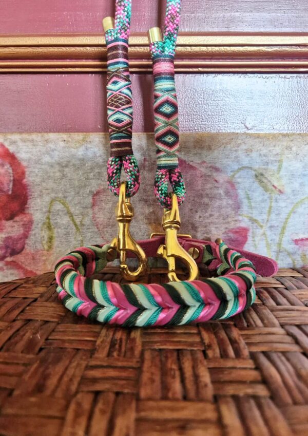 Obojek a vodítko pro psa Kožený proplétaný obojek s lanovým přepínacím vodítkem z kolekce Jsem Hogofogo, model Dragonfly